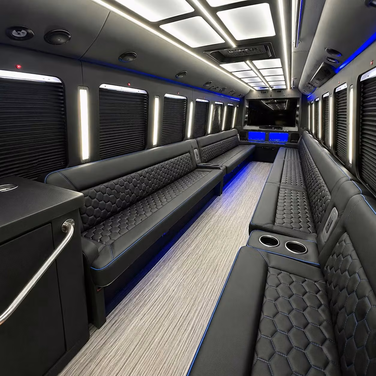bachelorette party and bridal party bus rentals in the plainfield area